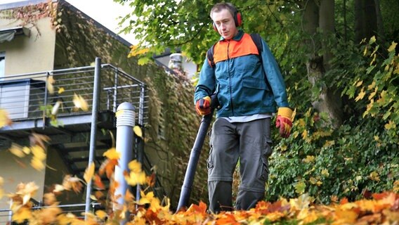 Mit Laub Mulchen Und Pflanzen Vor Frost Schutzen Ndr De Ratgeber Garten