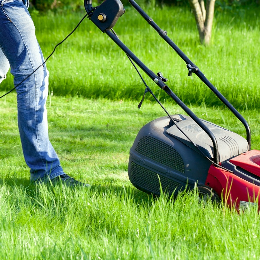 Rasen Dungen Mahen Und Pflegen Die Besten Tipps Ndr De Ratgeber Garten