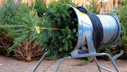 Weihnachtsbaum wird in ein Netz eingerollt. © Fotolia.com Foto: Pixelmixel