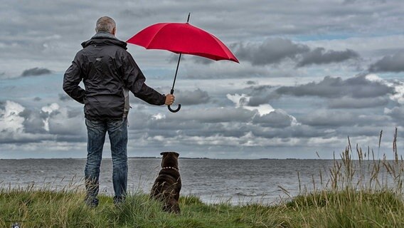 Mann hält Hund den Regenschirm hin. © NDR 