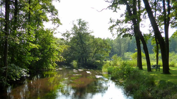 Fluss Örtze. © NDR Foto: Bernhard Fröhlich