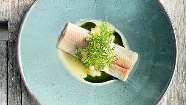 Trout fillet served on a plate with pear sauce and dill oil.  © NDR 
