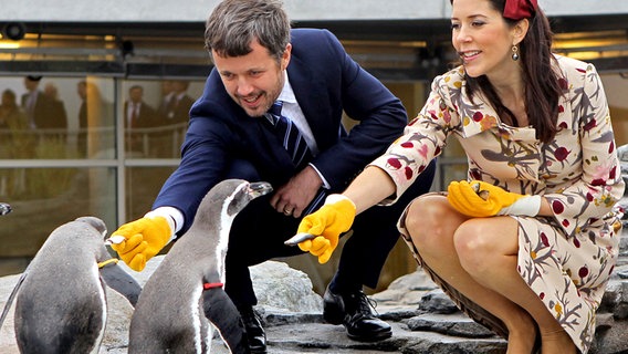 Kronprinz Frederik und seine Frau Mary füttern Pinguine im Stralsunder Ozeaneum © dpa Bildfunk 