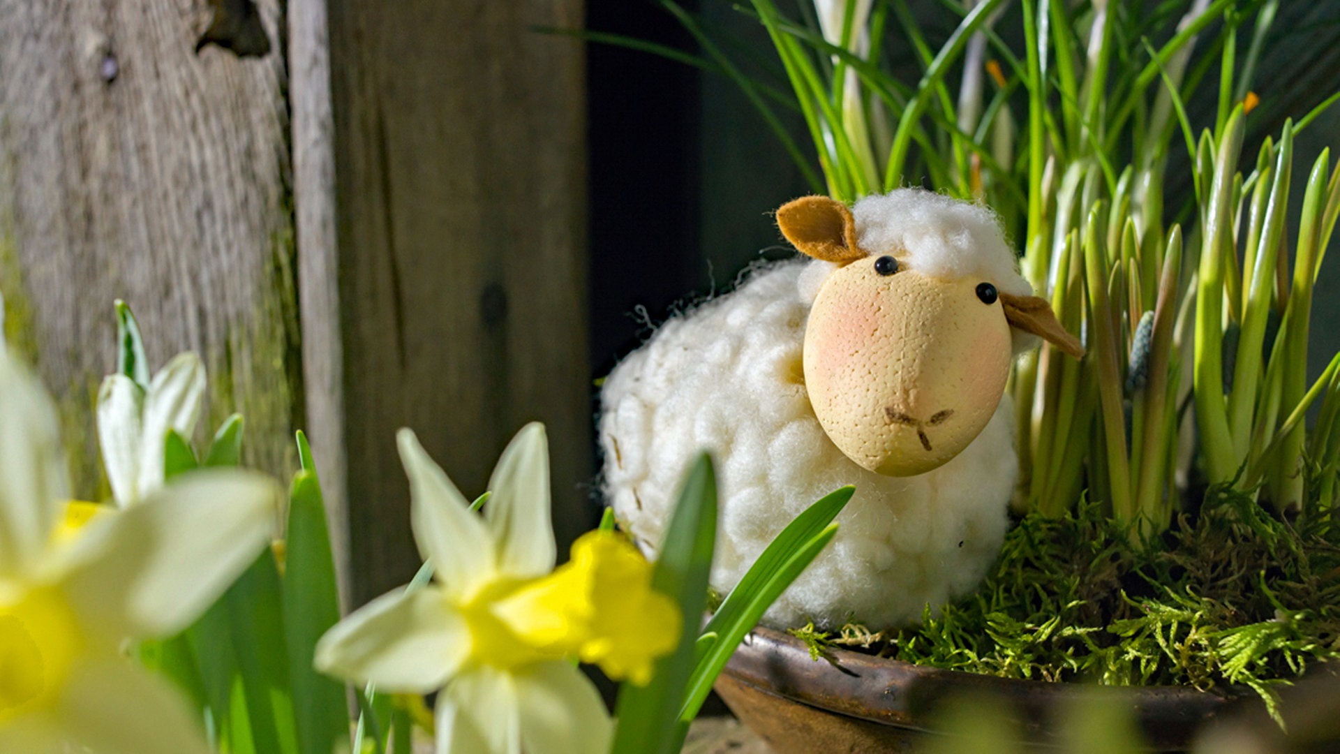 4 Servietten ~ Schafe mit Lämmer im Frühling Lamm Ostern Lämmchen