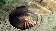 In einem Erdkeller liegen Mohrrüben, daneben eine Abdeckung aus Holz © NDR Foto: Joanna Michna