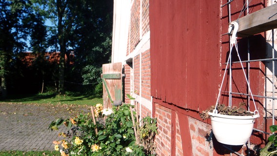 Eine Fachwerkhauswand mit roten Fensterläden. © NDR Foto:  Mirella Pappalardo