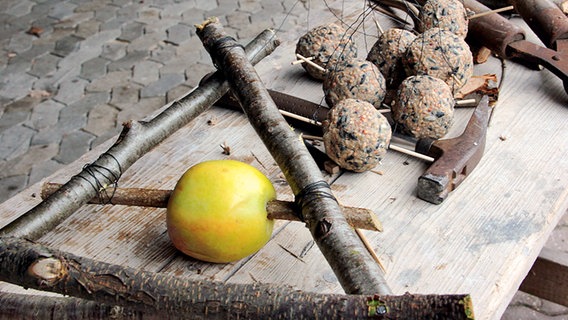 Die fertigen Meisenknödel können nun an den Apfelhalter gebunden werden. © NDR / Medienkontor Foto:  Mirella Pappalardo