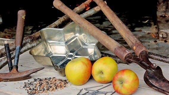 Das Material für den Apfelhalter und Meisenfutter liegt auf einem Tisch. © NDR / Medienkontor Foto: Mirella Pappalardo