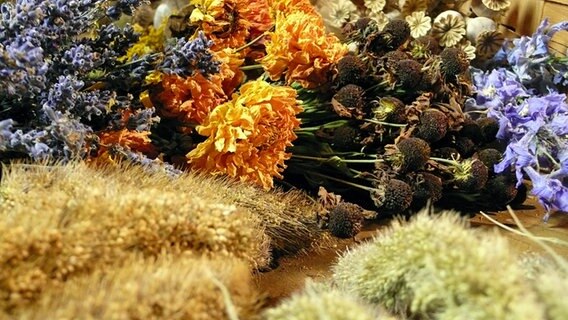 Getrocknete Blüten und Ähren © NDR Foto:  Isabell Hayn