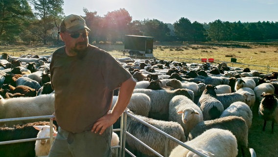 Seit der Wolf wieder heimisch ist in Niedersachsen, macht sich Schäfer Holger Benning Sorgen um seine 800 Schafe und Ziegen. © NDR/Docma TV/Christian Neumann 