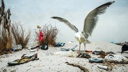 Überall am Strand liegt Plastikmüll herum, dazwischen steht eine Möwe. © NDR/Clipfilm 
