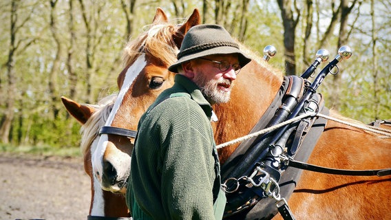Heidebauer Peter Hagel ackert mit Pferden. © NDR/TV Plus/Jana Straußfeld 