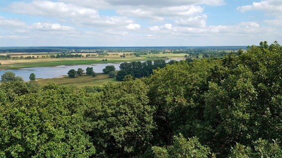 Blick auf die Elbe vom Gipfel der Elbhöhen aus. © NDR/AZ Media/Christian Leunig 