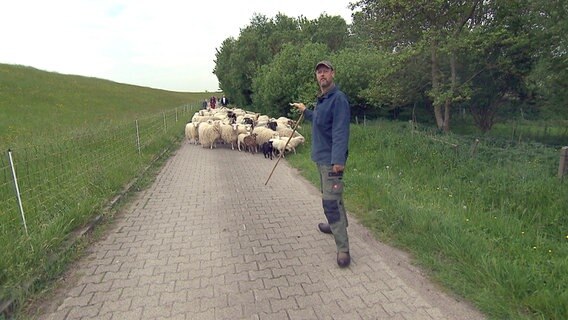 Christoph Müller ist Schäfer auf den Ostfriesischen Inseln. © NDR/AZ Media/Franziska Voigt 