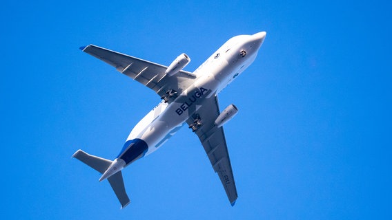 Unterseite eines fliegenden Airbus Beluga XL (technische Bezeichnung Airbus A330-743L) blauem Himmel. © picture alliance/dpa | Jonas Walzberg 