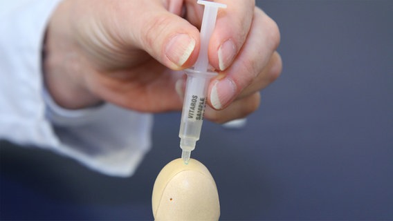 Aus einer Mini-Spritze ohne Nadel wird anhand eines Penis-Dummies gezeigt, wie ein Potenz-Gel auf die Eichel aufgetragen wird. © NDR 