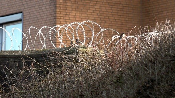 Der Maßregelvollzug im niedersächsischen Moringen ist für seine dicke Dornenhecke bekannt. An vielen Stellen ersetzt sie die hohen Mauern und Zäune, die sonst beim Maßregelvollzug üblich sind. © NDR 