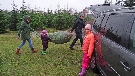 Ein Auto parkt an einer Tannenbaum-Schonung. Vater und Mutter tragen einen Tannenbaum zum Auto; ein Kind hilft dabei. Das andere steht daneben. © NDR/Labo M 