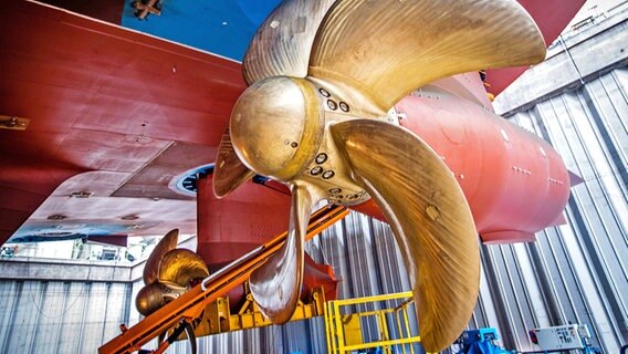 Untersicht auf die Schiffsschrauben des auf der MV-Werft im Bau befindlichen Kreuzfahrtschiffs Global Dream. © picture alliance/dpa/dpa-Zentralbild Foto: Jens Büttner