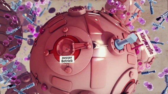 Grafik: Um die mechanistisch dargestellte Zelle herum schweben sehr viele schraubenförmige Gegenstände, das Insulin. An der geschlossenen Klappe der Zelle hängt das Schild "Außer Betrieb". © NDR/45Min 