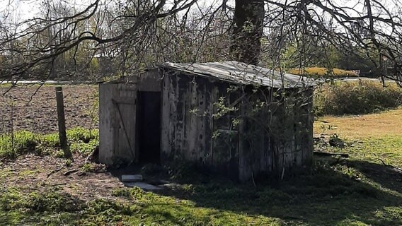 Ein alter Schafstall auf einer Weide idyllisch unter einem großen Baum. © NDR/Klaus Schwolow 