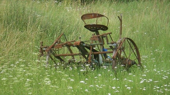 Auf einer Wiese steht ein altes, verrostetes landwirtschaftliches Gerät, eventuell ein alter Heuwender. © NDR/Holger Markert 