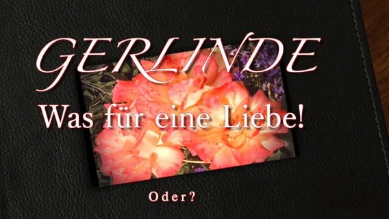 Der Text "Gerlinde - was für eine Liebe" wird über ein Buch eingeblendet. © NDR 