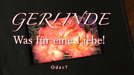 Neues aus Büttenwarder: Der Text "Gerlinde - was für eine Liebe" wird über ein Buch eingeblendet. © NDR 