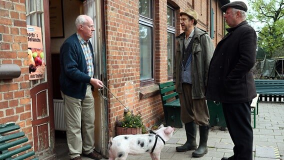Drei Männer und ein Schwein stehen vor einem Haus. © NDR/Nico Maack Foto: Nico Maack