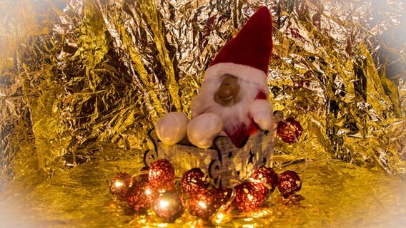 Weihnachtsmann aus Plüsch sitzt in einem kleinen Holzschlitten © NDR Foto: Yvonne Kaehler aus Güstrow