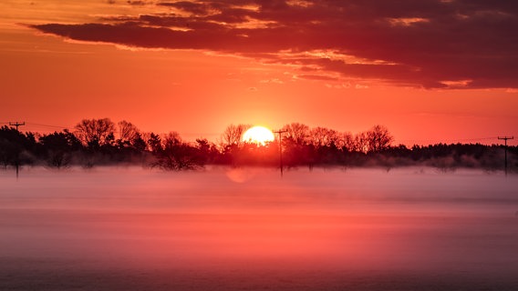 Sonnenaufgang über einem Feld. © NDR Foto: Klaus Haase aus dem Ostseebad Prerow