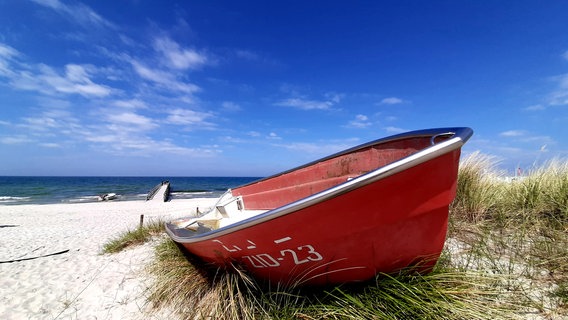 Fischerboot am Strand bei Sonne. © NDR Foto: Ulrike Golz aus Dorf Mecklenburg