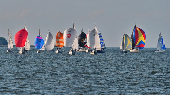 Boote auf der Ostsee. © NDR Foto: Axel Plate aus Stralsund