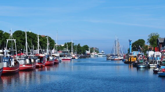 Boote im Hafen von Wiek. © NDR Foto: Katharina Fotheringham aus Gladenbach