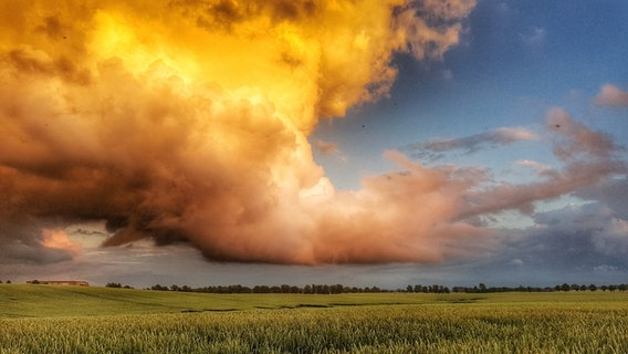 Große Wolke über dem Feld. © NDR Foto: Angela Kittelmann aus Stavenhagen