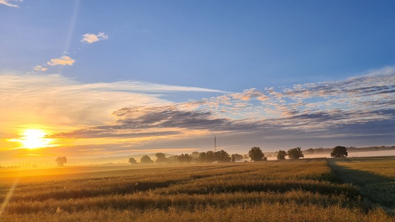 Sonnenaufgang über einem Feld. © NDR Foto: Joachim Wilke aus Hof Meteln