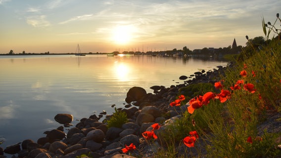 Abendstimmung am Salzhaff. © NDR Foto: Jana Hobe aus Rostock