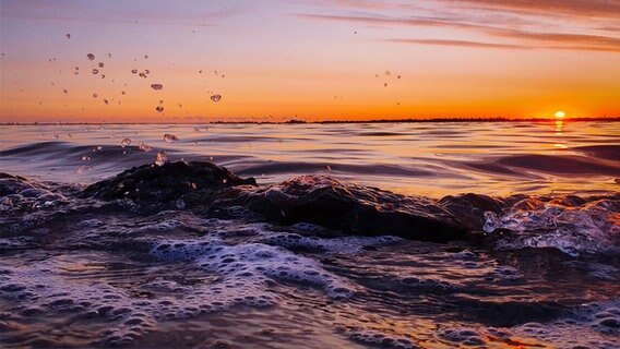 Sonnenaufgang am Strelasund. © NDR Foto: Cornelia Behring aus Stralsund