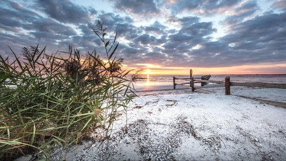 Sonnenuntergang an der Ostsee. © NDR Foto: Klaus Haase aus dem Ostseebad Prerow