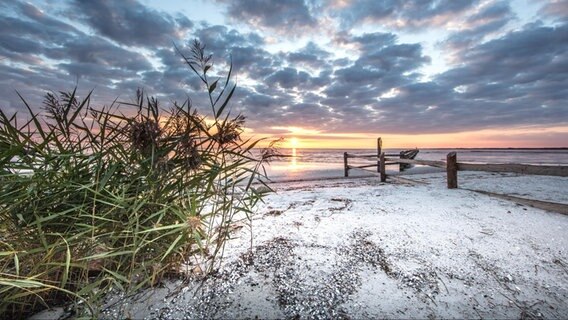 Sonnenuntergang an der Ostsee. © NDR Foto: Klaus Haase aus dem Ostseebad Prerow