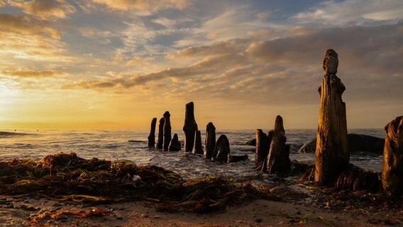 Strand bei Sonnenuntergang. © NDR Foto: Andrea Droschinski aus Wismar