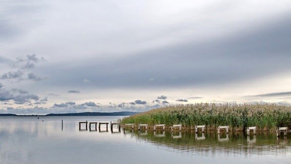 Ruhige See am Jasmunder Bodden. © NDR Foto: Olga Wunderlich aus Stralsund