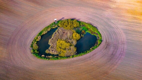 Luftaufnahme einer kleinen Grünfläche zwischen Feldern. © NDR Foto: Steffen Osten aus Gneven