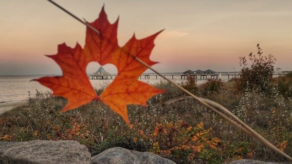 Herbstliches Blatt mit herzförmigen Loch, wodurch man die Seebrücke sehen kann. © NDR Foto: Ronny Heim aus dem Ostseebad Heringsdorf