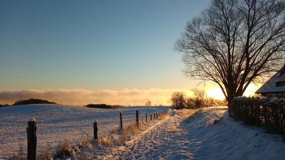 Sonnenaufgang über einem verschneiten Weg © NDR Foto: Silvia Hasart-Krüger aus Alt Rehse