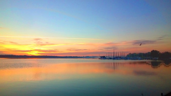 Sonnenaufgang am Ribnitzer Hafen © NDR Foto: Burkhard Busch aus Ribnitz-Damgarten