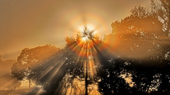 Sonne über Lübtheen. © NDR Foto: Uwe Meyer aus Lübtheen