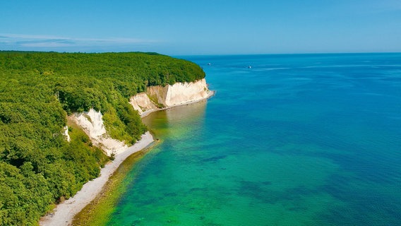 Grün und blau schmückt längst nicht nur die Sau: So farbenfroh ist die Kreideküste auf der Insel Rügen im Sommer. © NDR Foto: Rayko Heuker aus Bergen auf der Insel Rügen