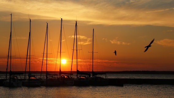 Sonnenuntergang in Barth. © NDR Foto: Margrit Schmidt aus Barth