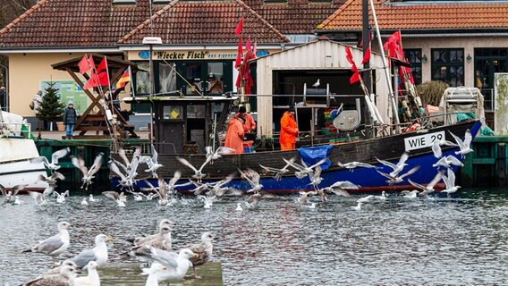 Fischer landen in Wiek ab. © NDR Foto: Uwe Kantz aus Hinrichshagen